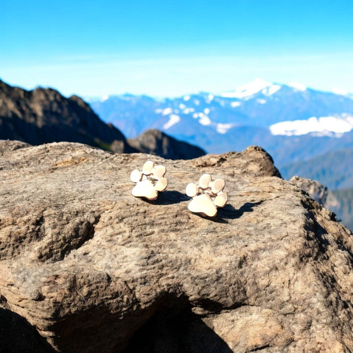 Kolczyki z motywem łapki hipoalergiczne – wykonane ze stali nierdzewnej